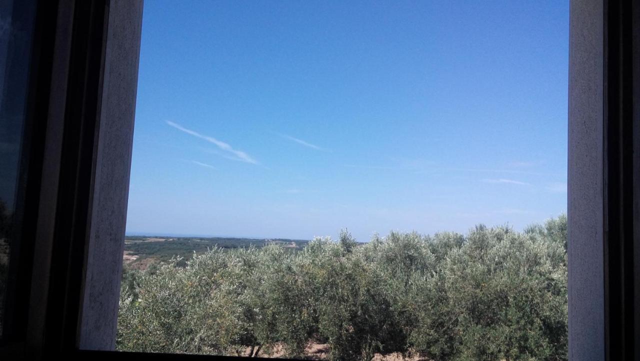 Apartment Agroturizam Radesic Buje Εξωτερικό φωτογραφία