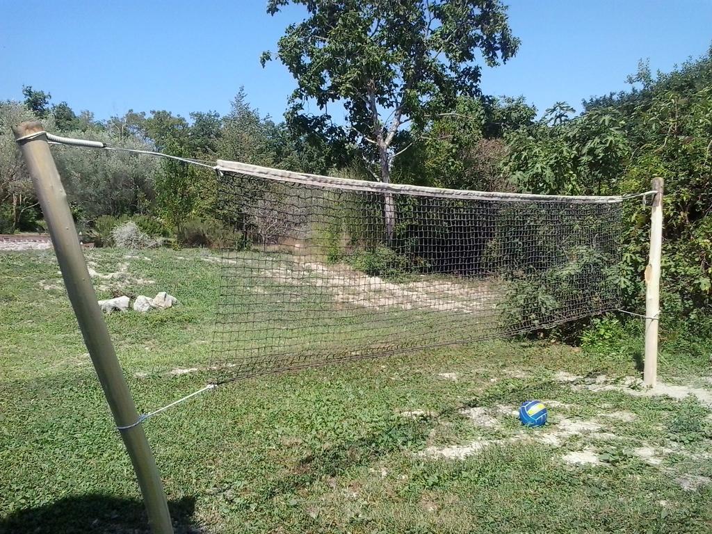 Apartment Agroturizam Radesic Buje Εξωτερικό φωτογραφία